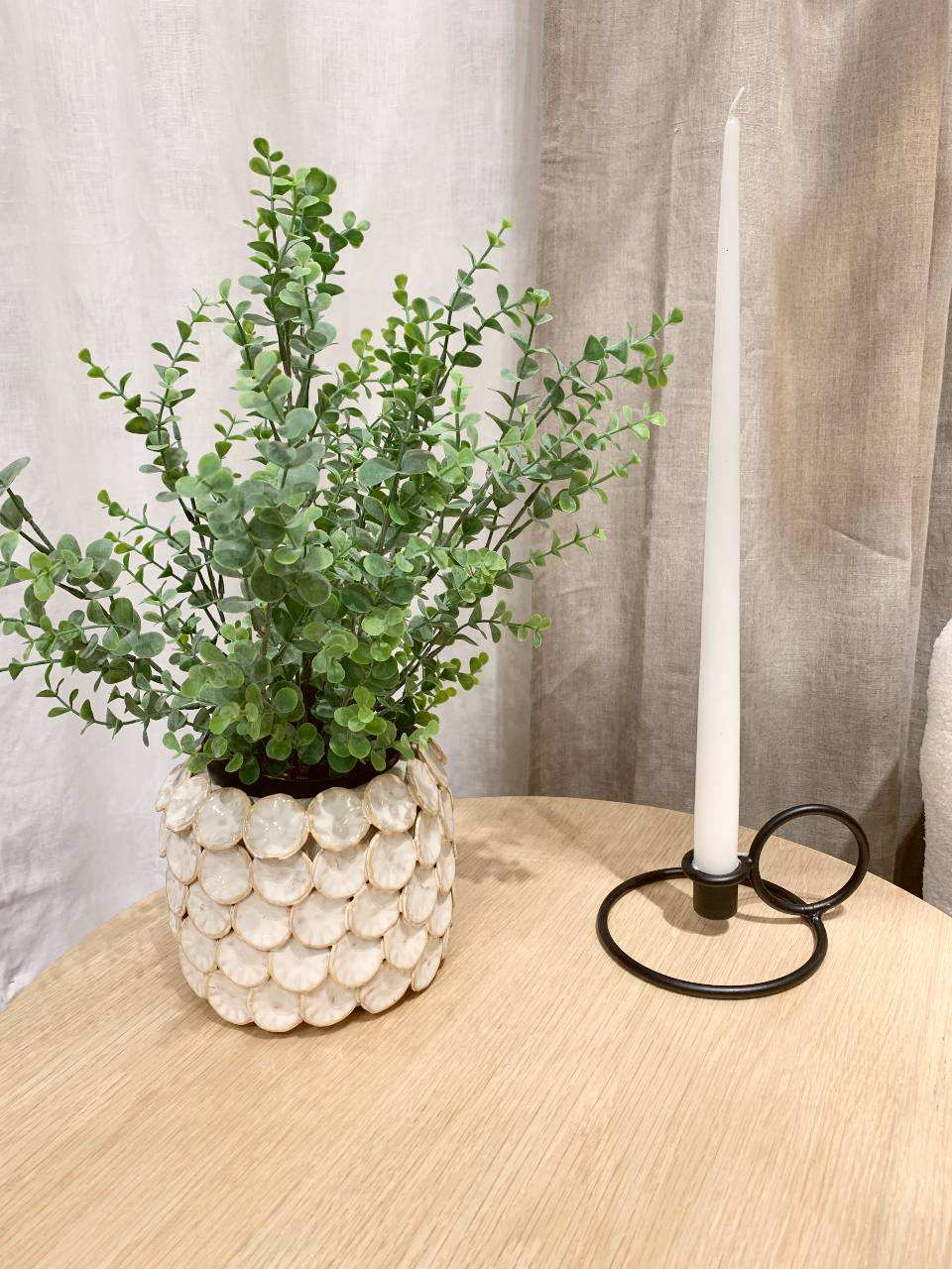 scalloped vase with a green plant and a black candle holder